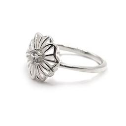 Czflowerring1.png