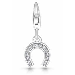 Horseshoecharm.png