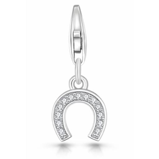 Horseshoecharm.png