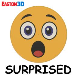 E3D 1080 SURPRISED TOKEN.jpg