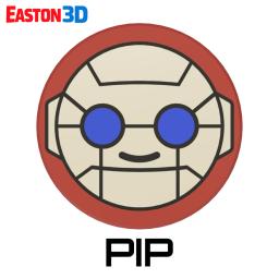 1080 PIP TOKEN.jpg