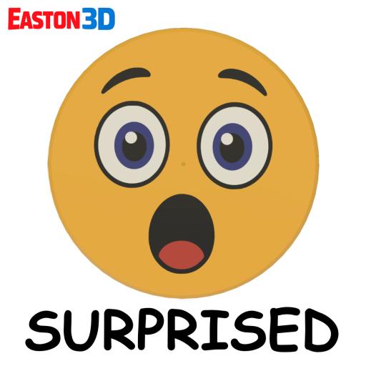 E3D 1080 SURPRISED TOKEN.jpg