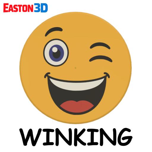 E3D 1080 WINKING TOKEN.jpg