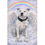 Full Colour Heavens Angel Pet Portrait